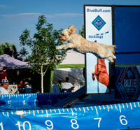 Dock Dogs 2019