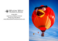 Havasu - Angry Bird