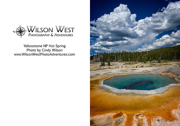 Yellowstone NP - Crested Hot Spring