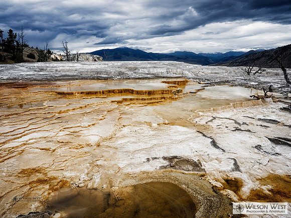 Mammoth Hot Springs