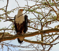 03 2-27 Nakuru pm