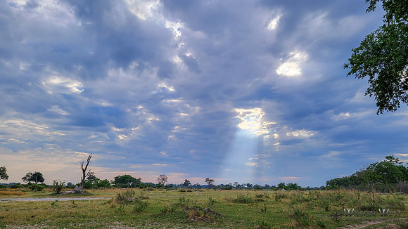 Sky, Sun Rays
