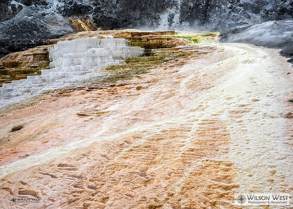 Mammoth Hot Springs