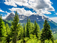 America's Magnificent NPs 6-2015