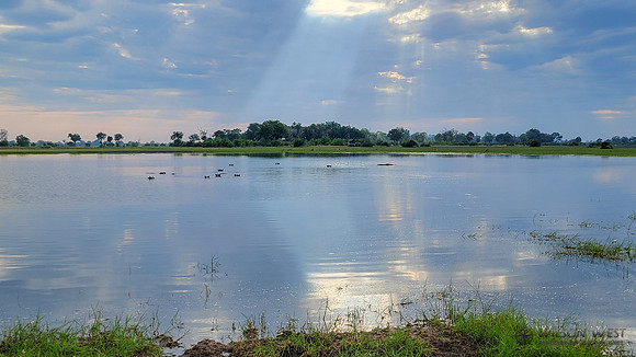 Sky, Sun Rays