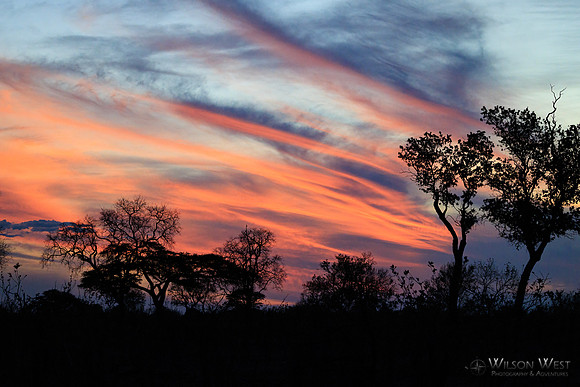 Sunsets
