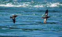 02 Deception Pass