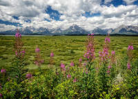 America's Magnificent NPs 7-2015