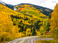 Fall colors in Colorado