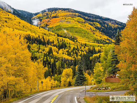 Fall colors in Colorado
