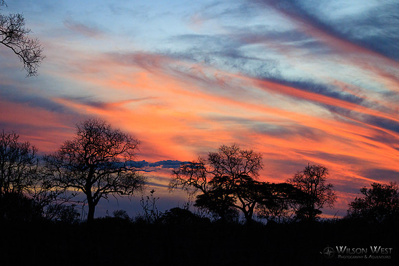Sunsets