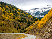 Fall color in Colorado