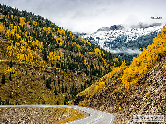Fall color in Colorado