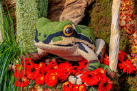Rose Parade Float Viewing