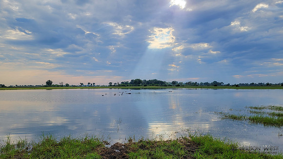 Sky, Sun Rays