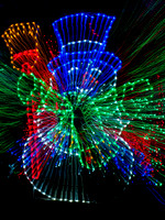 Ethyl M's Christmas Lights