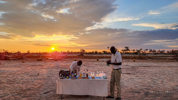 Sundowner in the bush