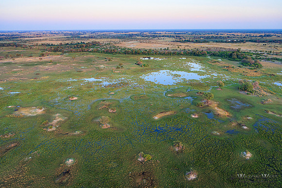 Okavango Delta Helicopter
