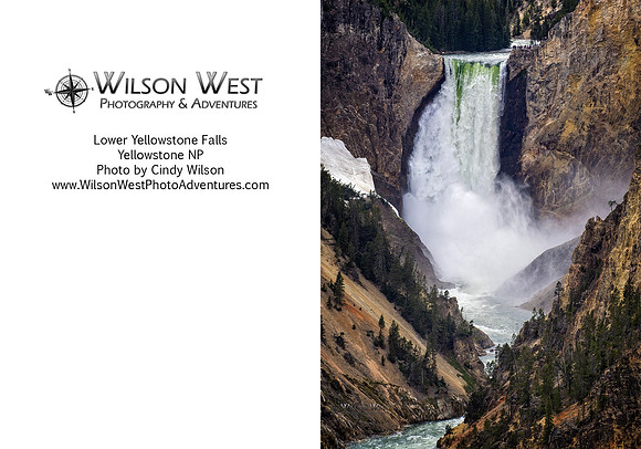 Yellowstone NP - Lower Falls of Yellowstone River