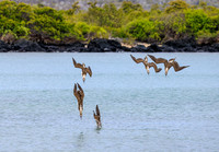 11-29 Floreana Island