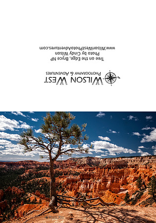 Bryce NP - Lone Tree