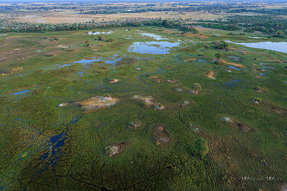 Okavango Delta Helicopter