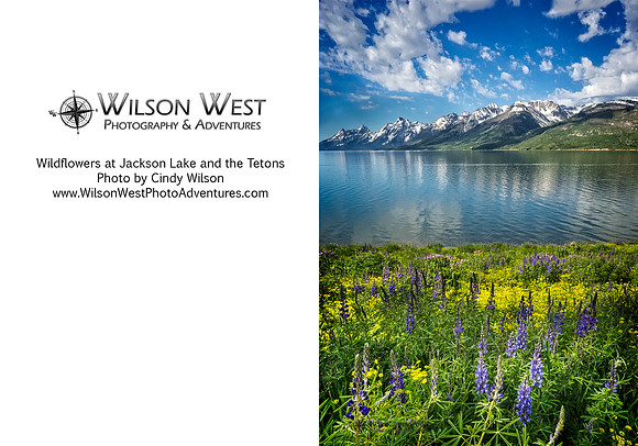 Grand Teton NP - Wildflowers and Jackson Lake