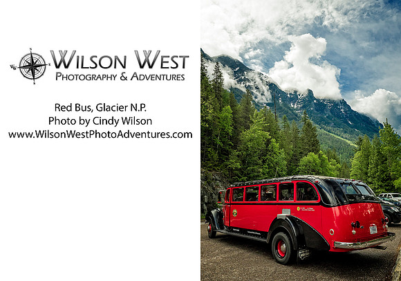Glacier NP - Red Bus