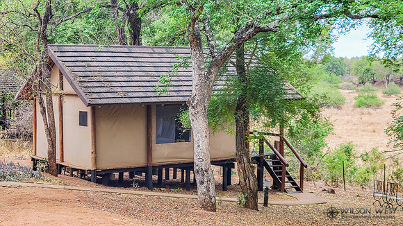 My Cabin