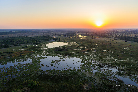 Sunrise Okavango Delta