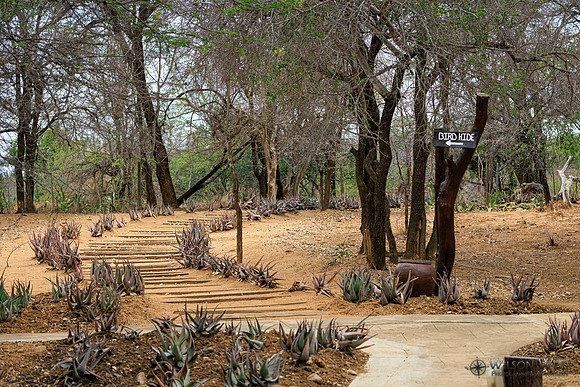 Hotel path to blind