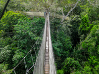 Peru  - Amazon