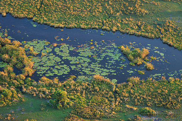 Okavango Delta Helicopter