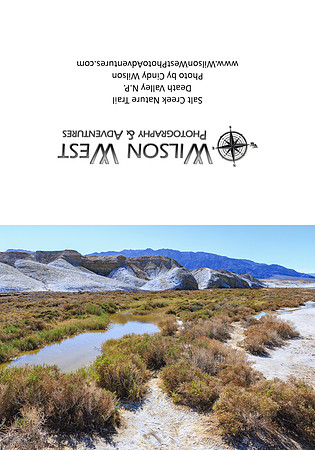 Death Valley - Salt Creek - 1