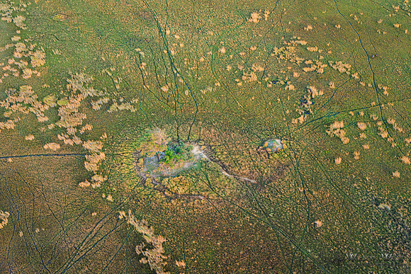 Okavango Delta Helicopter