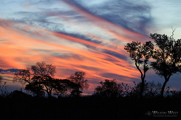 Sunsets