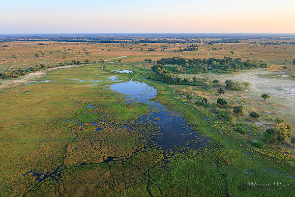 Okavango Delta Helicopter