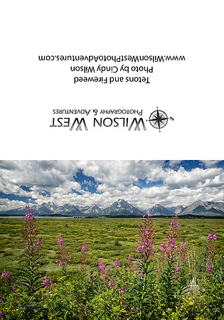 Grand Teton NP - Fireweed Flowers