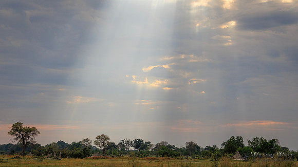 Sun Rays