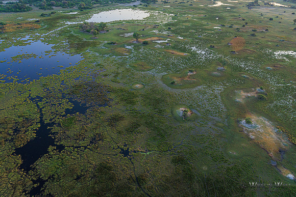 Okavango Delta Helicopter