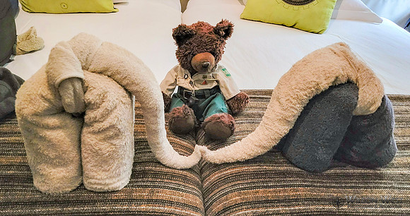 Towel art in my cabin