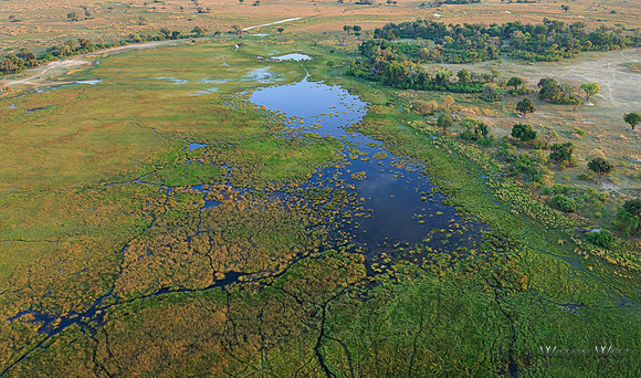 Okavango Delta Helicopter