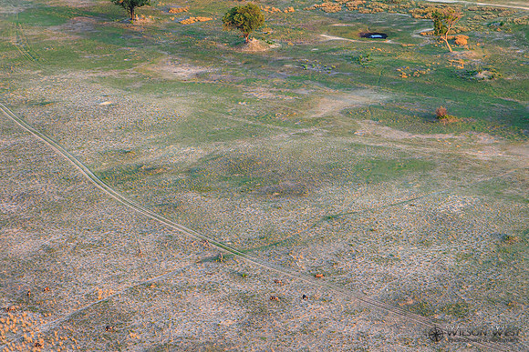 Okavango Delta Helicopter, Blue Wildebeest, Zebra