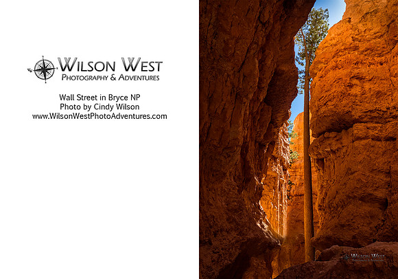 Bryce NP - Wall Street